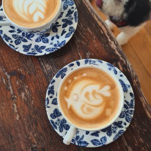 449466093_998518192282955_1785734484557869021_n